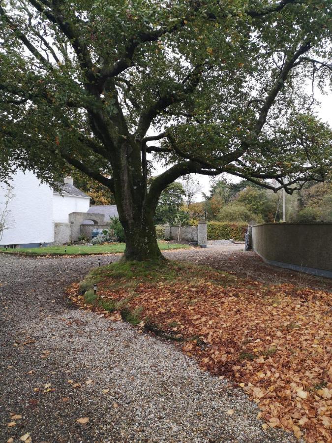 Villa Kilpatrick Glebe Crossabeg Exterior foto