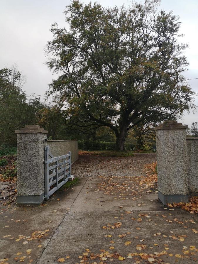Villa Kilpatrick Glebe Crossabeg Exterior foto